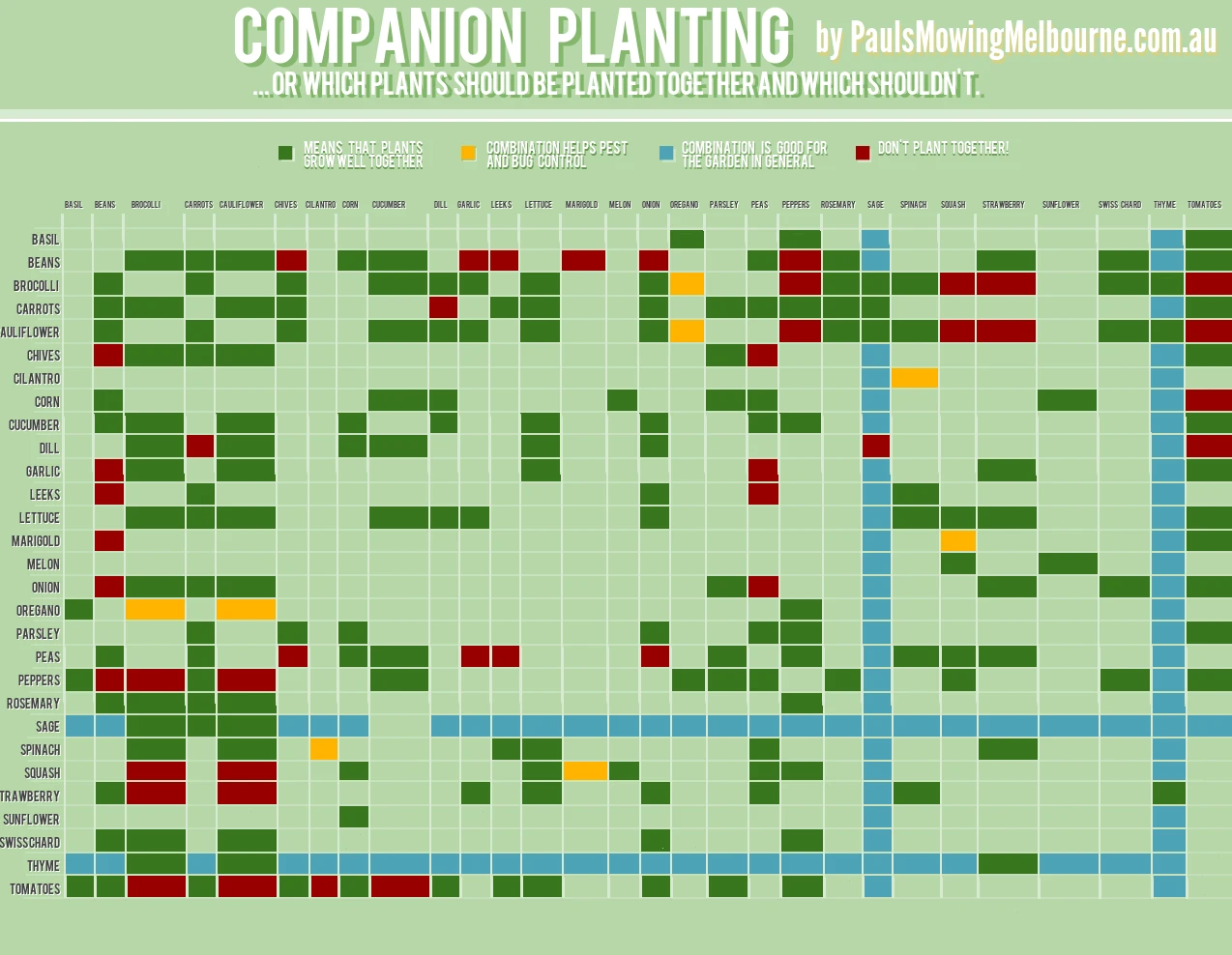 Companion Planting Enhances Garden Health By Pairing Plants That Benefit Each Other Improving Growth Pest Control And Soil Fertility For Optimal Yields.